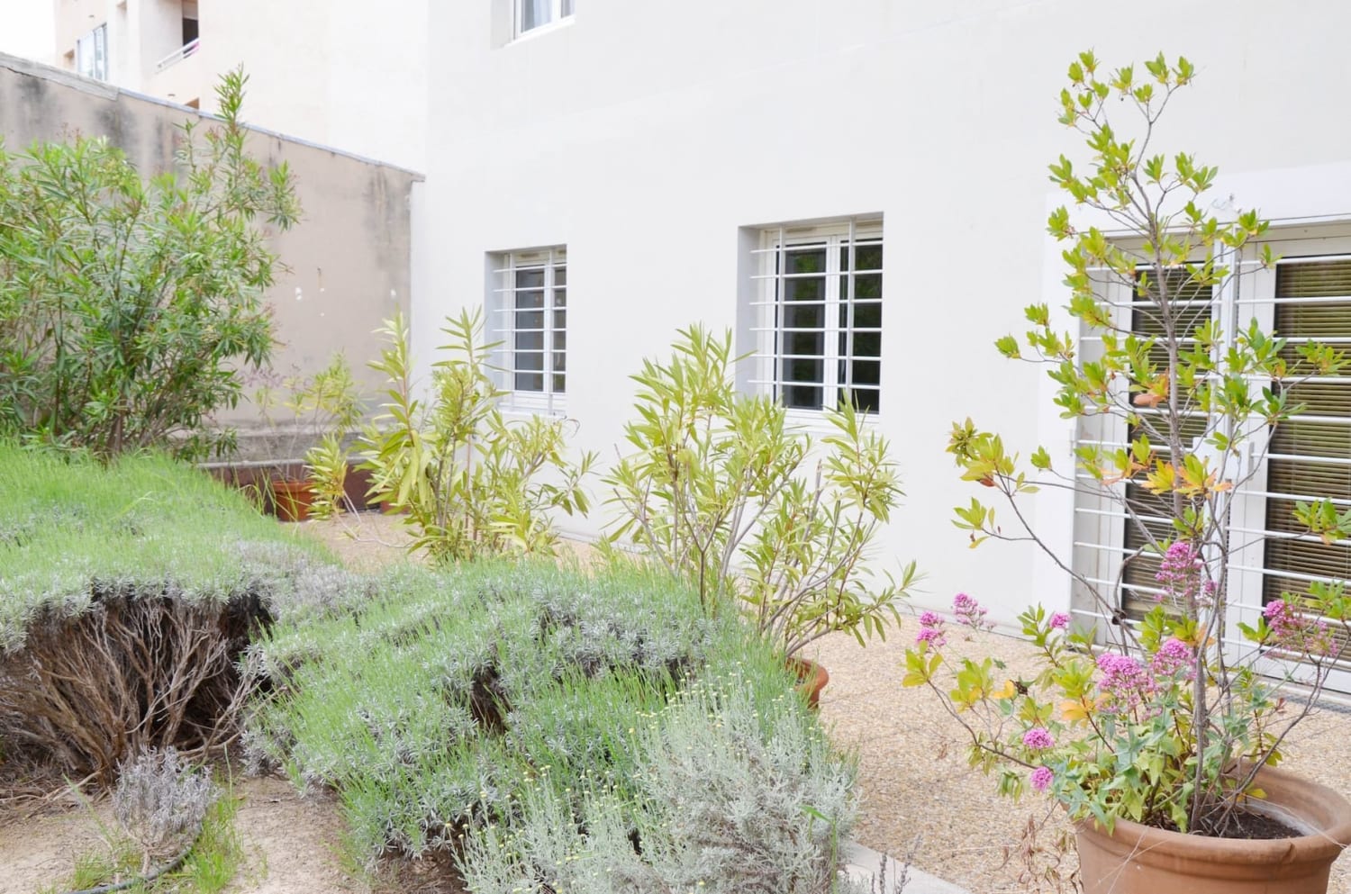 Renovated, secure residence with garden at the Timone Marseille